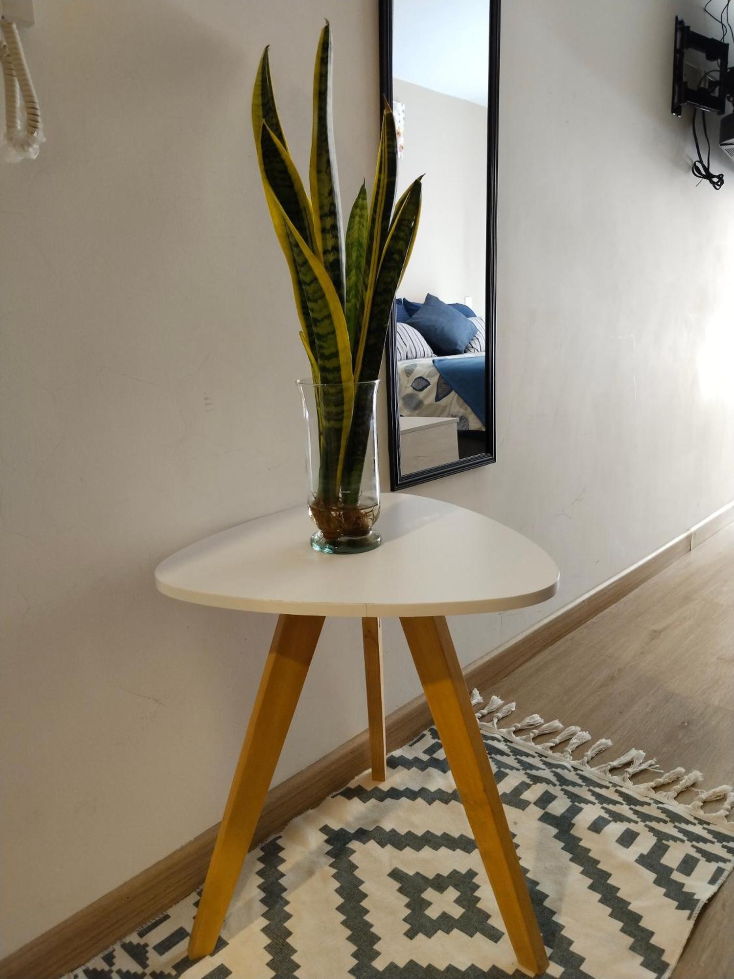 Candelaria 1619 Apartment